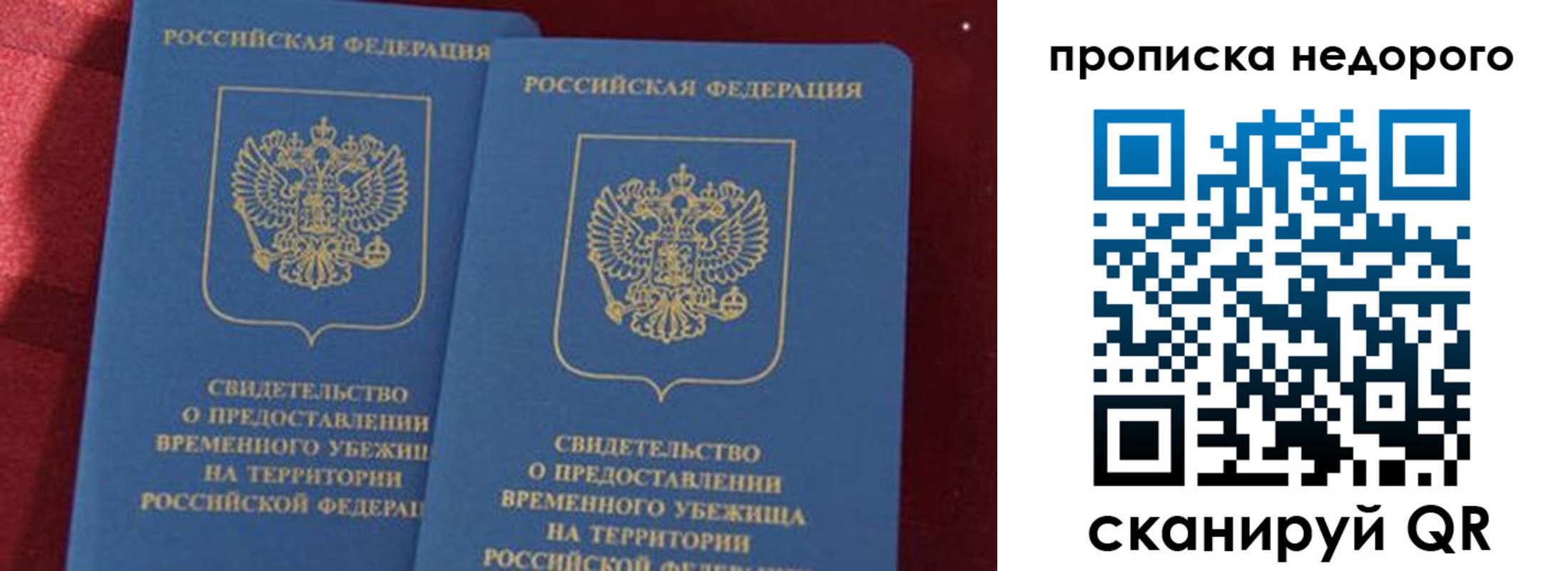 прописка гарантия в Тосно